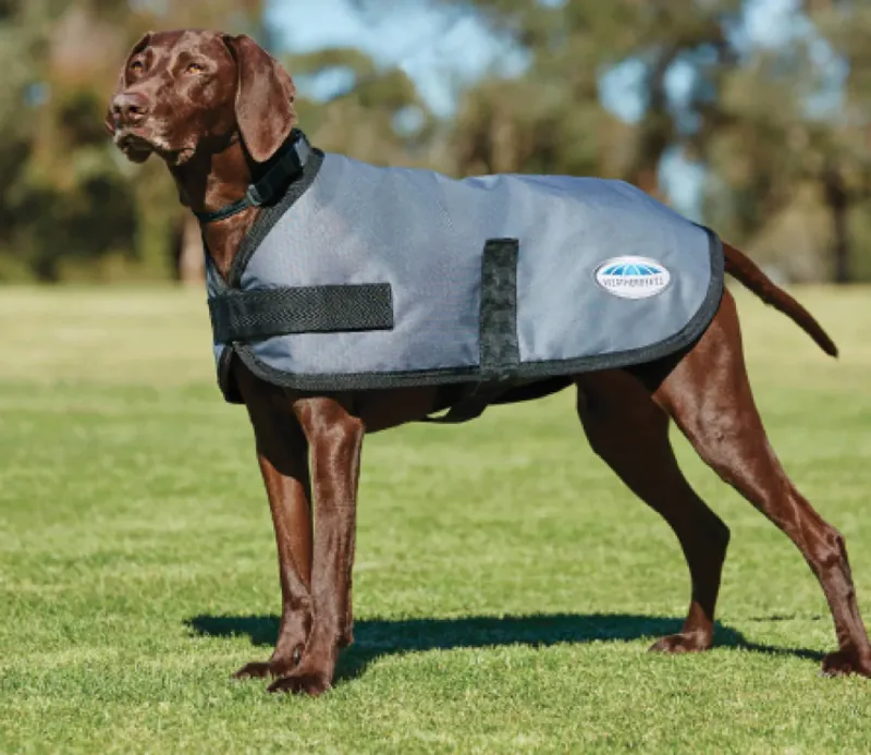 WeatherBeeta Duo Dog Coat Black/Grey